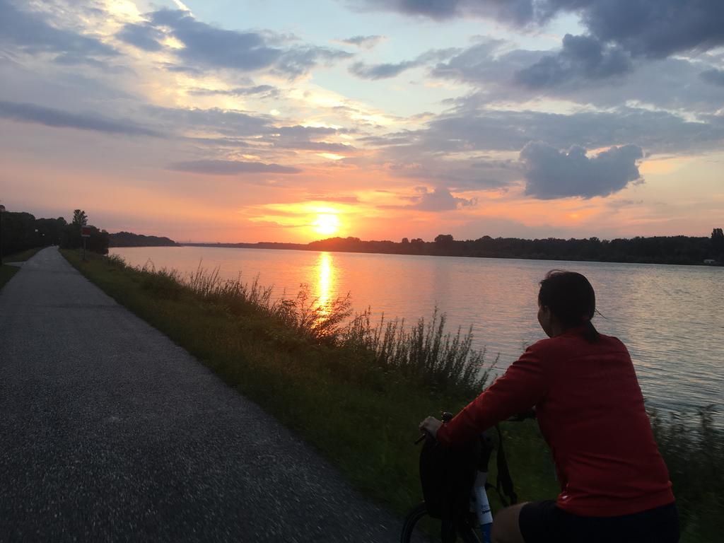 Donaupark Camping Tulln Тульн Экстерьер фото