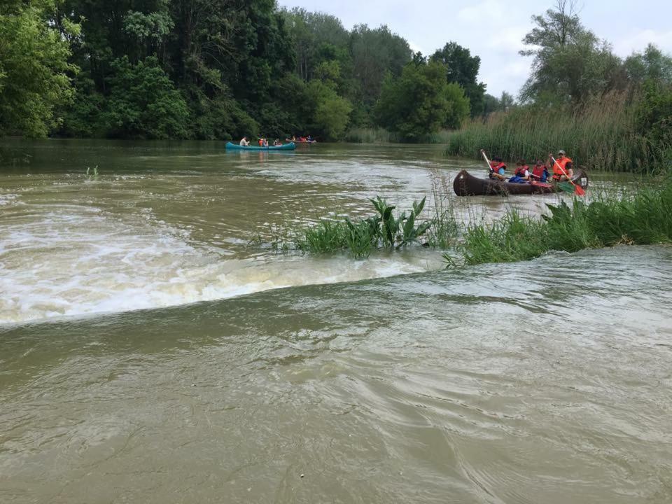 Donaupark Camping Tulln Тульн Экстерьер фото